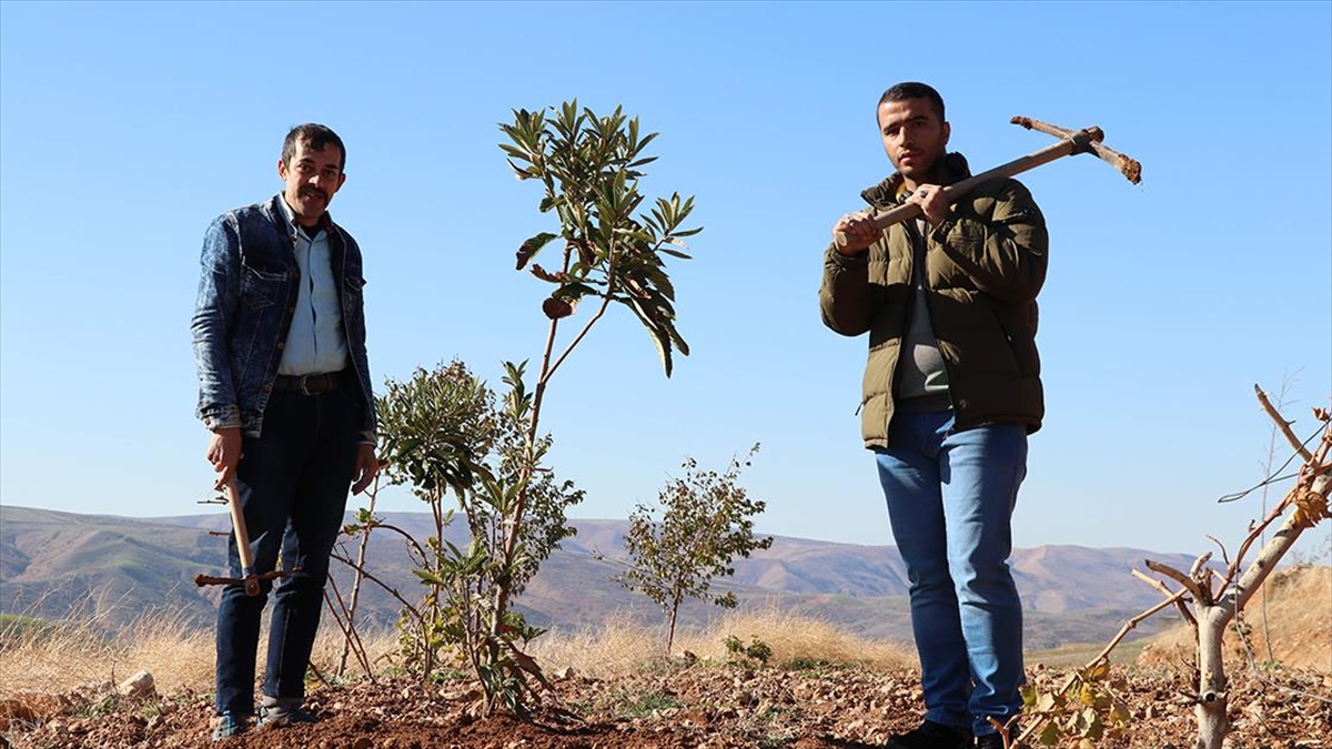 Siirt'te oluşturulan hobi bahçesi, özel bireylerin tarımla uğraşarak rehabilite olmalarına