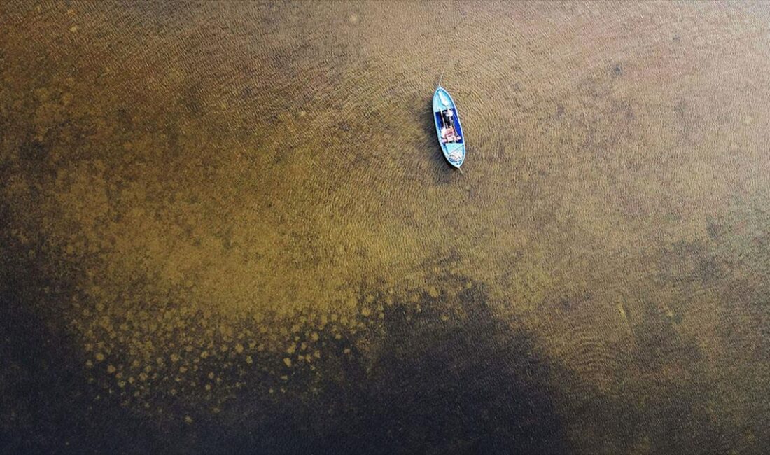 Yaz aylarında etkili olan kuraklık nedeniyle suların çekildiği Bafa Gölü'nün,
