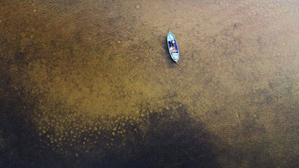 Yaz aylarında etkili olan kuraklık nedeniyle suların çekildiği Bafa Gölü'nün,