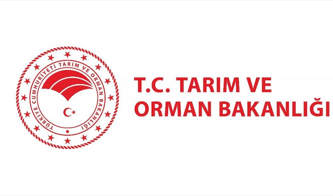 ANKARA (AA) – Bakanlığın Resmi Gazete yayımlanan ilanına göre, alımlar,
