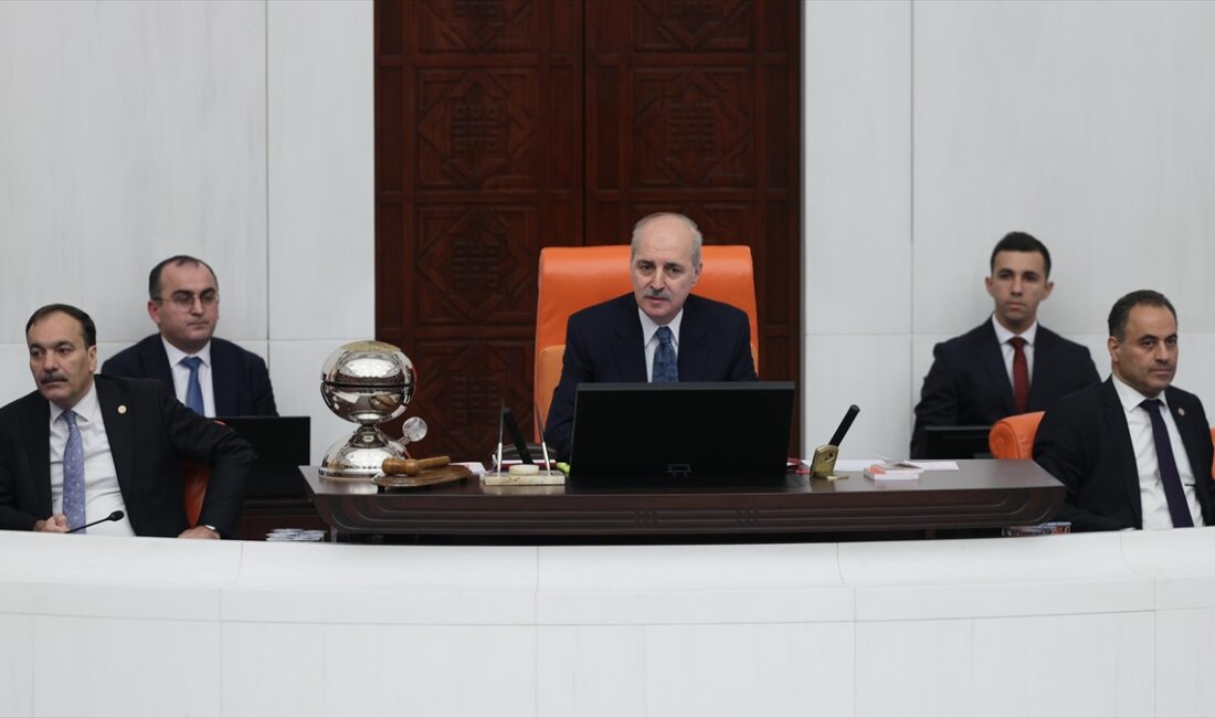 TBMM (AA) – TBMM Genel Kurulunda, 2024 Yılı Merkezi Yönetim