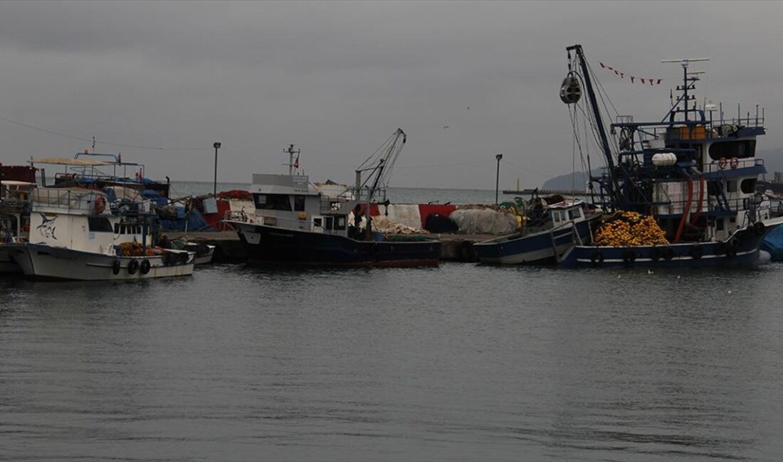 Marmara Denizi'nde etkili olan poyraz, Tekirdağ'da deniz ulaşımını olumsuz etkiliyor.