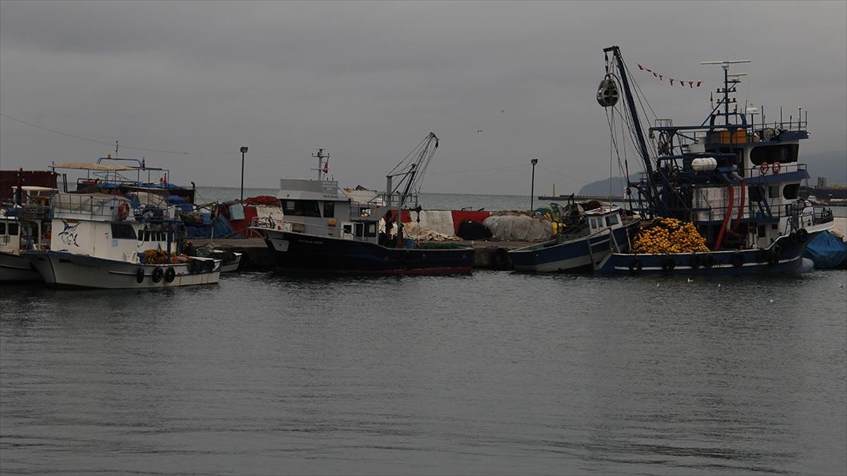 Marmara Denizi'nde etkili olan poyraz, Tekirdağ'da deniz ulaşımını olumsuz etkiliyor.