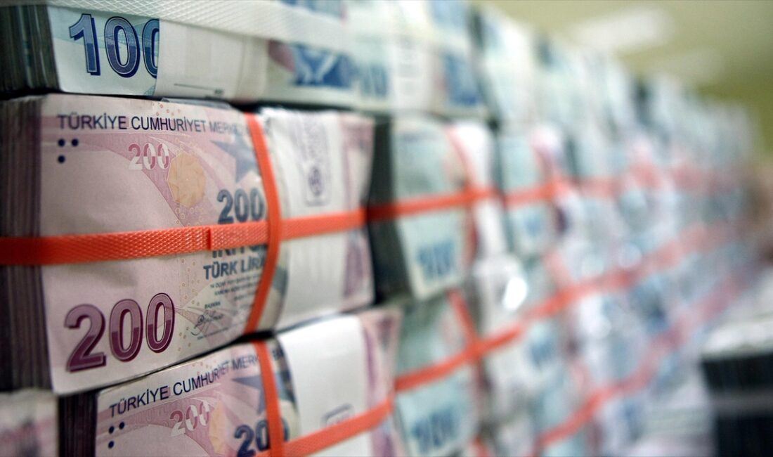 Türkiye Cumhuriyet Merkez Bankası (TCMB), Türk lirası (TL) dönüşümlü Kur