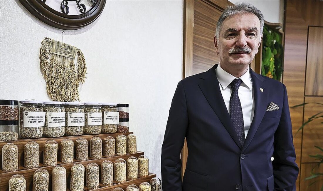 TMO Genel Müdürü Güldal, Ofisin piyasayı takip ederek üreticiyi izlediğini