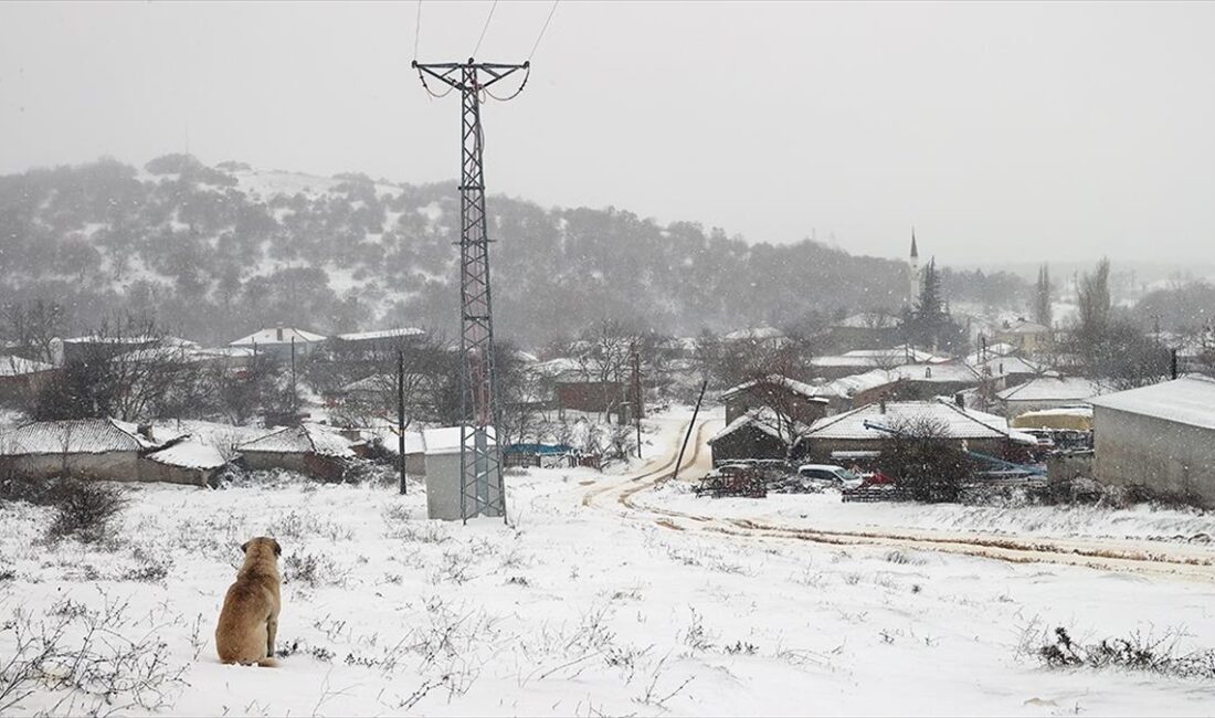 Edirne ve Kırklareli'nin yüksek kesimlerinde kar etkili oldu.