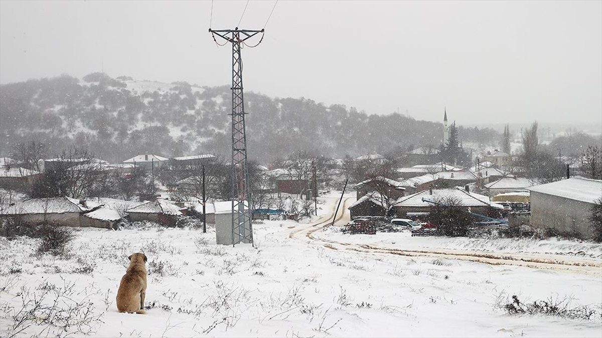 Edirne ve Kırklareli'nin yüksek kesimlerinde kar etkili oldu.