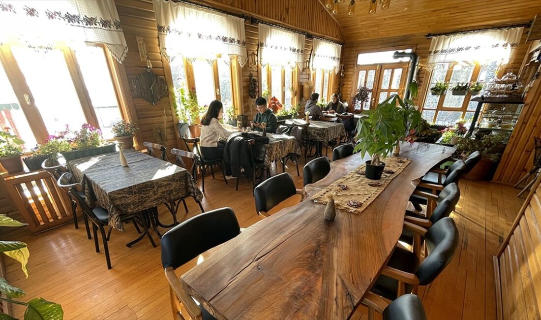 TÜDER Genel Başkanı Küçük, restoranlarda 1 Ocak'ta başlayacak fiyat listesi