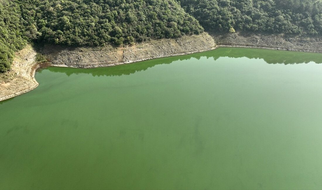 Türkiye'de geçen yıl çeşitli kaynaklardan 19,2 milyar metreküp su çekilirken