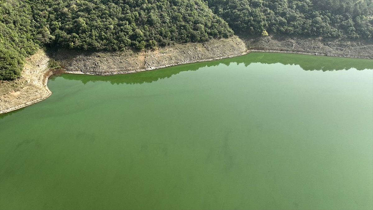 Türkiye'de geçen yıl çeşitli kaynaklardan 19,2 milyar metreküp su çekilirken