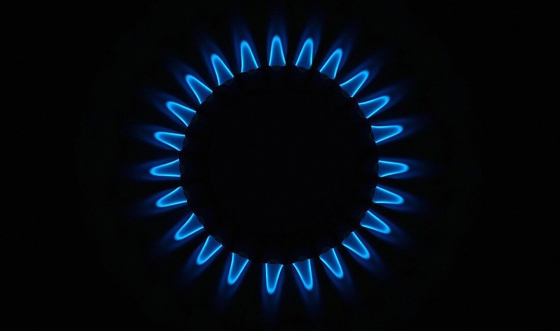 Türkiye Doğal Gaz Dağıtıcıları Birliği (GAZBİR) Başkanı Yaşar Arslan, Türkiye'nin
