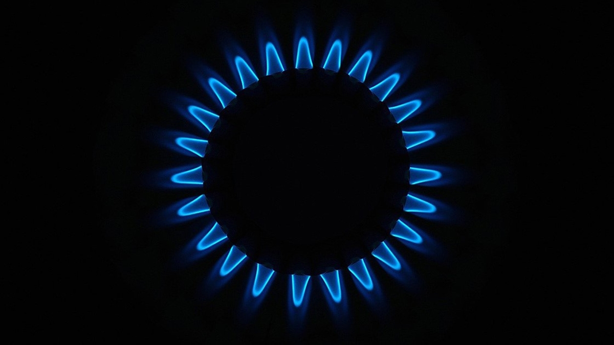 Türkiye Doğal Gaz Dağıtıcıları Birliği (GAZBİR) Başkanı Yaşar Arslan, Türkiye'nin