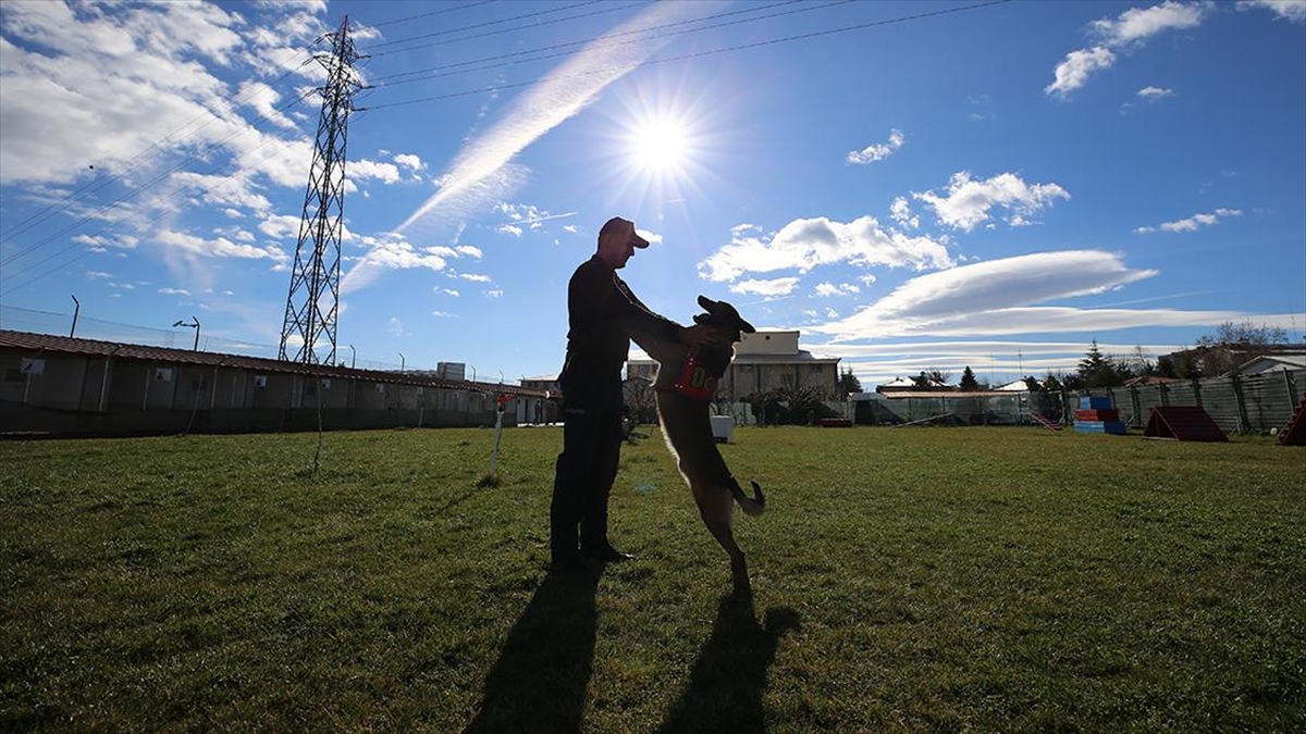 Uyuşturucu arama köpeği "Meke", hassas burnuyla son yılların en önemli