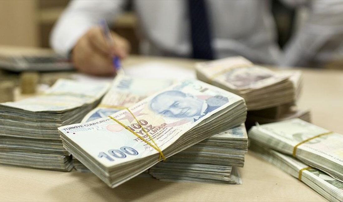 Yeni ekonomi yönetiminin hazirandan bu yana attığı adımlar Türk lirası