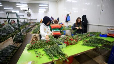 ANTALYA (AA) – SÜLEYMAN ELÇİN – Antalya'dan Noel (Christmas) ve