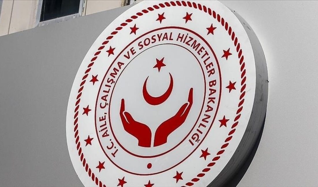 Aile ve Sosyal Hizmetler Bakanlığı, 2 bin 392 engellinin kamu