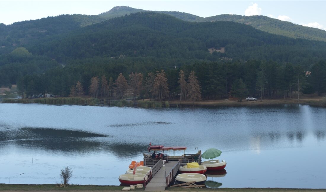 Flora ve fauna zenginliğine sahip olan ve nesli tehlike altındaki