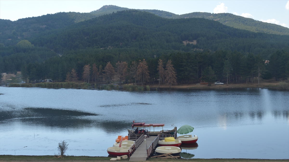 Flora ve fauna zenginliğine sahip olan ve nesli tehlike altındaki
