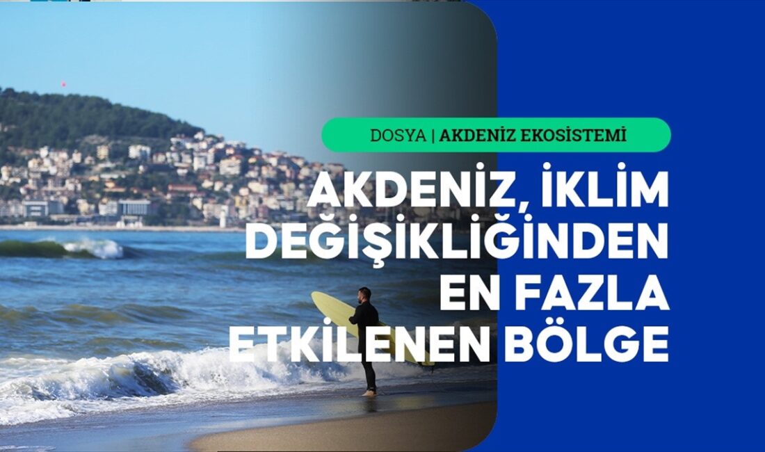 Uzmanlar, Akdeniz'deki deniz suyu sıcaklıklarının rekor seviyelere ulaştığı ve bu