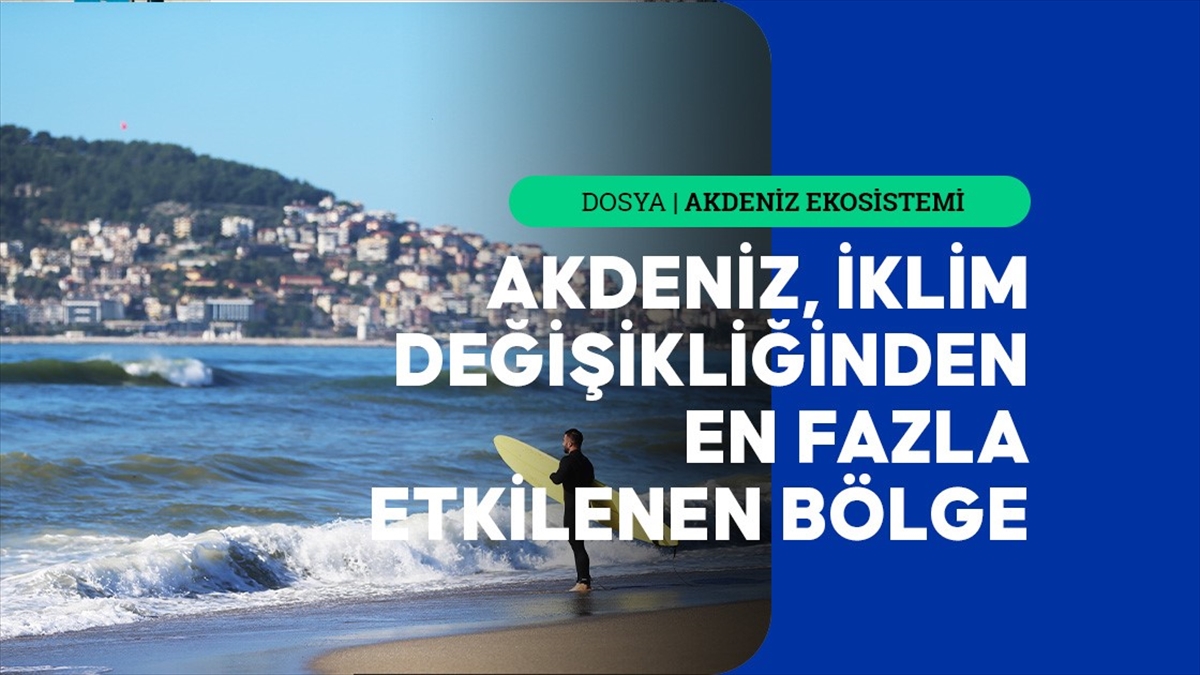 Uzmanlar, Akdeniz'deki deniz suyu sıcaklıklarının rekor seviyelere ulaştığı ve bu