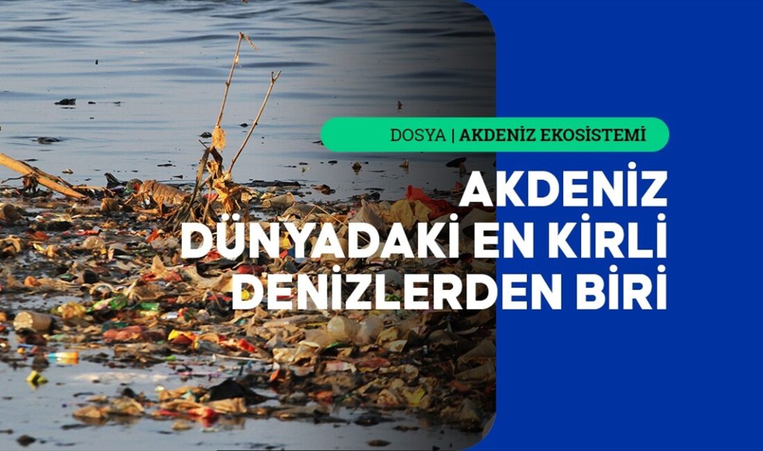 Uzmanlar, Akdeniz'deki kirlilik yüküne yılda ortalama 229 bin 465 ton