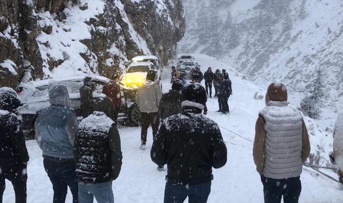 ANTALYA (AA) – Antalya Büyükşehir Belediyesi Kırsal Hizmetler ekipleri, 1500