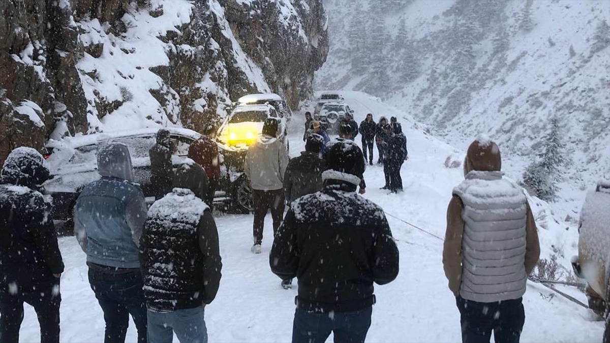 ANTALYA (AA) – Antalya Büyükşehir Belediyesi Kırsal Hizmetler ekipleri, 1500