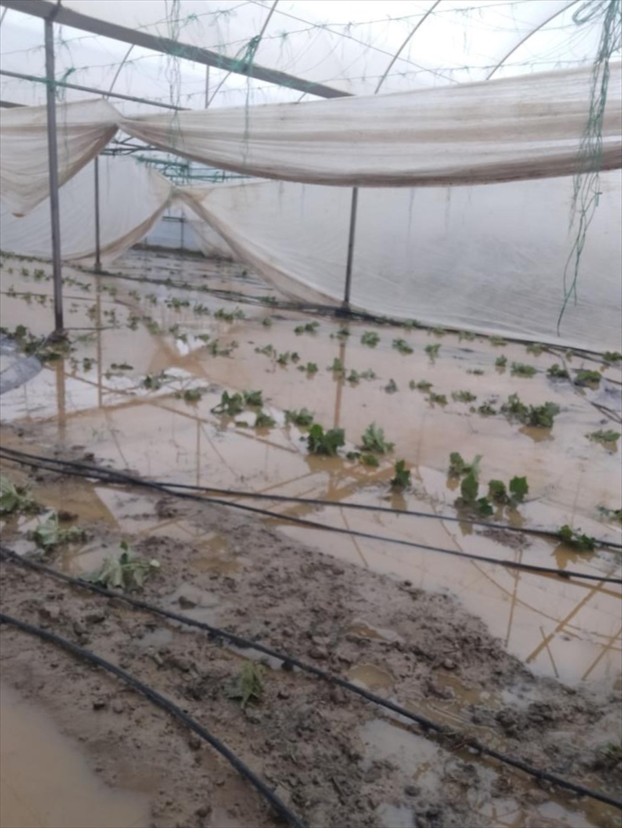 ANTALYA (AA) – Antalya'nın Alanya ilçesinde etkili olan sağanak, seralardaki