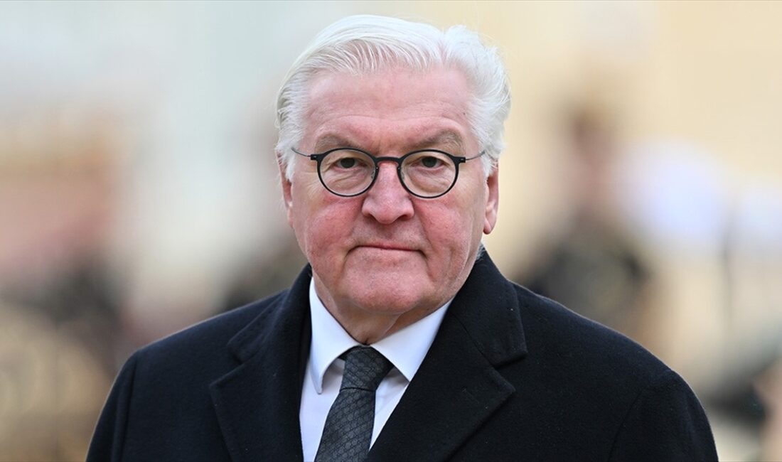 Almanya Cumhurbaşkanı Frank-Walter Steinmeier, ülkede aşırı sağa karşı sokağa çıkan