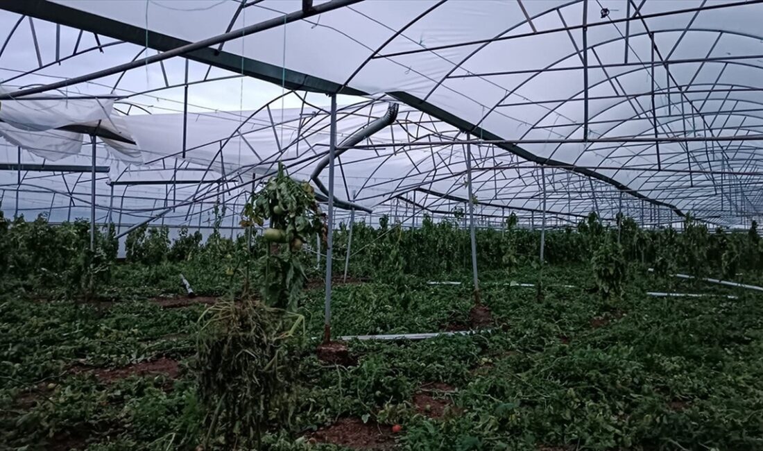 Antalya'nın Serik ilçesinde hortum nedeniyle bazı seralarda hasar oluştu.
