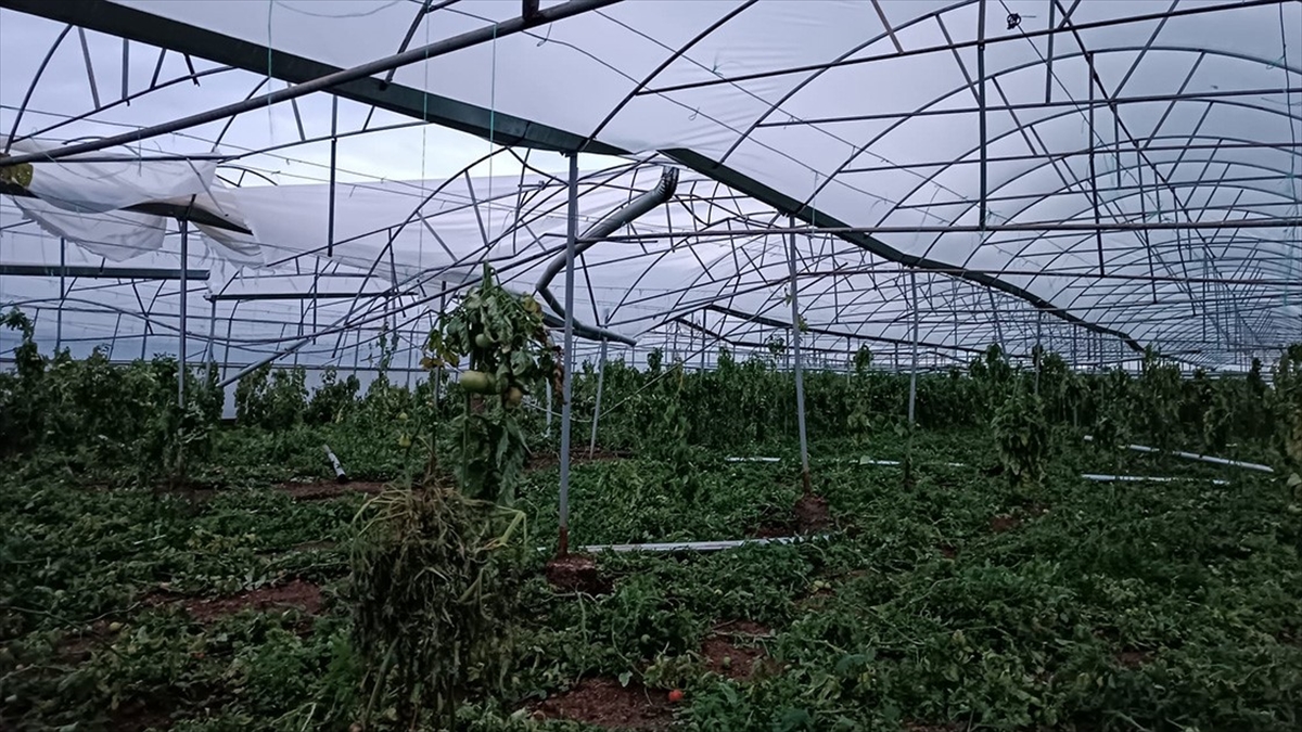 Antalya'nın Serik ilçesinde hortum nedeniyle bazı seralarda hasar oluştu.