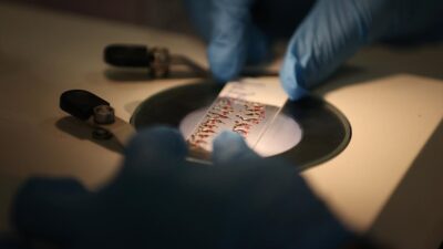 Düzce Üniversitesi (DÜ) Arıcılık Araştırma Geliştirme ve Uygulama Merkezi'nde (DAGEM)