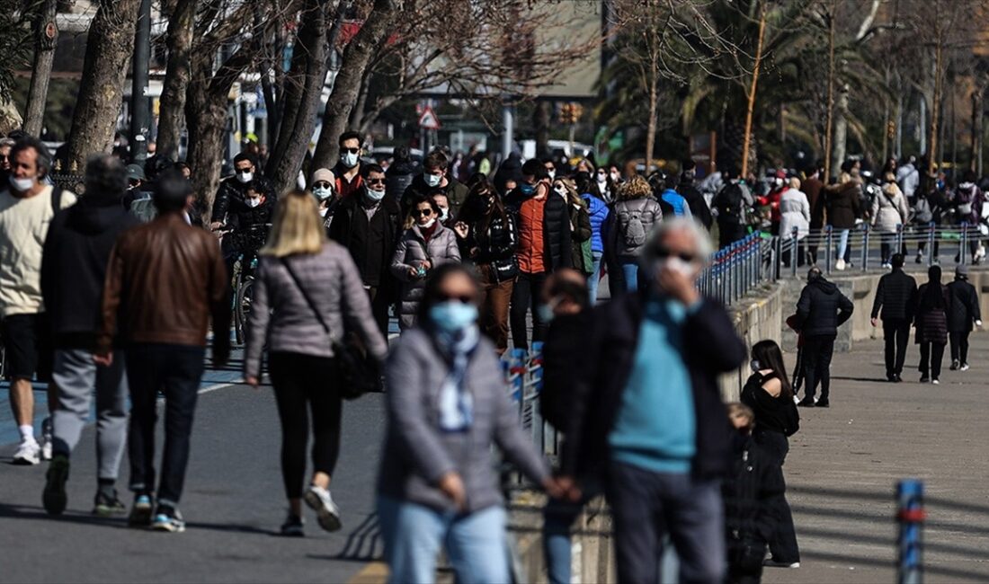 Trakya Üniversitesi Tıp Fakültesi Halk Sağlığı Ana Bilim Dalı Başkanı