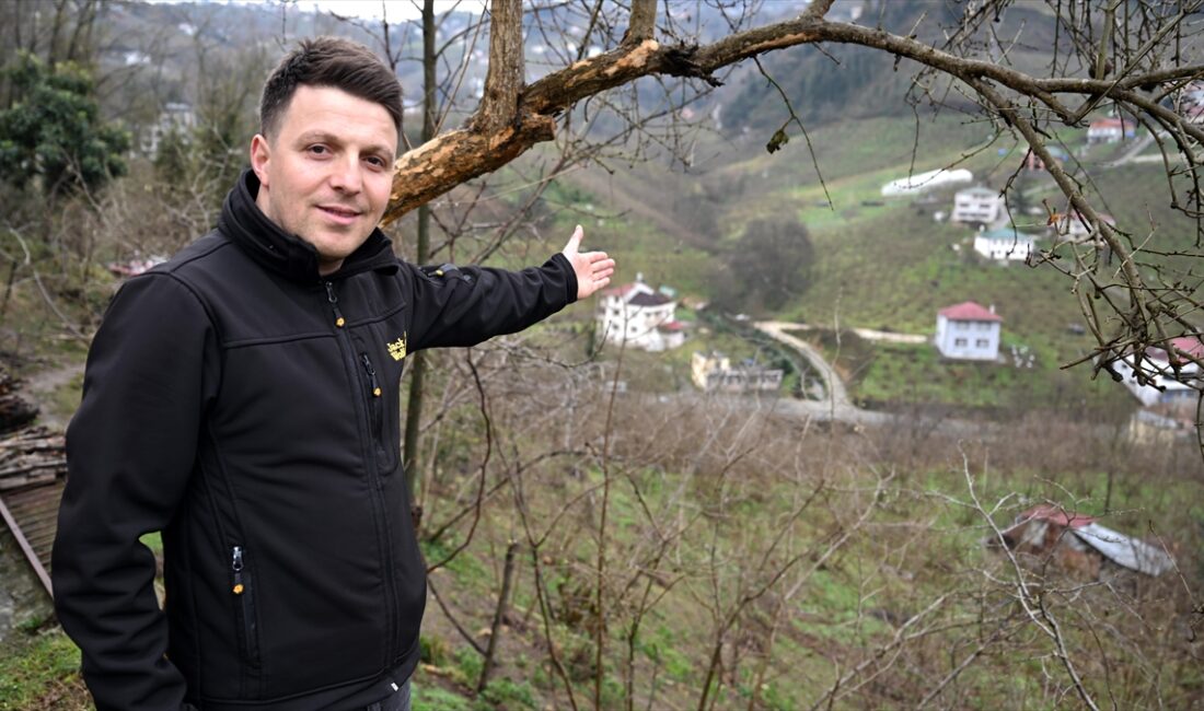 Trabzon'un Ortahisar ilçesinde bir kişinin, kar yağışı sonrası bahçesine giren