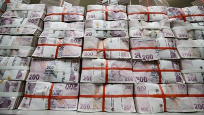 Bankacılık Düzenleme ve Denetleme Kurumu (BDDK) verilerine göre, Türk bankacılık