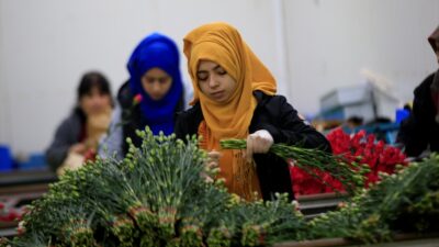 ANTALYA (AA) – HATİCE ÖZDEMİR TOSUN – Geçen yılı yaklaşık