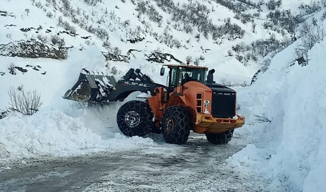 Hakkari'de çığ nedeniyle kapanan Yüksekova-Şemdinli kara yolu, ekiplerin çalışmasıyla açıldı.