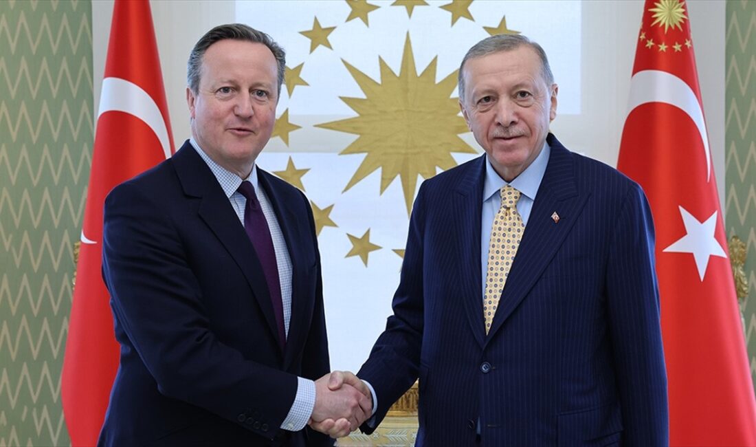 Cumhurbaşkanı Recep Tayyip Erdoğan, İngiltere Dışişleri Bakanı David Cameron ile