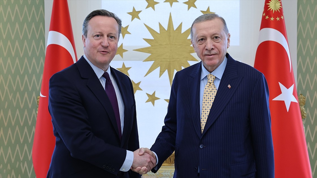 Cumhurbaşkanı Recep Tayyip Erdoğan, İngiltere Dışişleri Bakanı David Cameron ile
