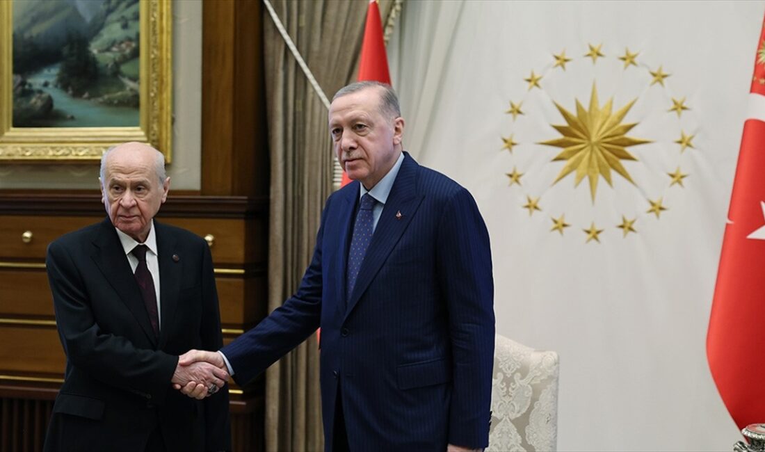 Cumhurbaşkanı Recep Tayyip Erdoğan, Milliyetçi Hareket Partisi Genel Başkanı Devlet