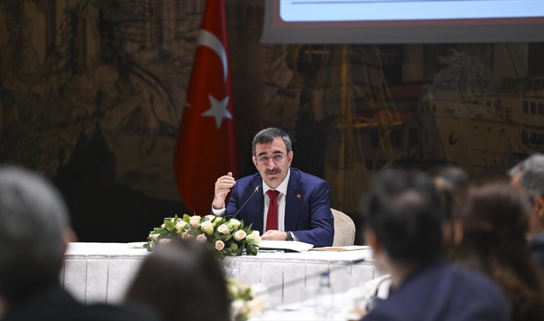Cumhurbaşkanı Yardımcısı Yılmaz "Aylık bazda ciddi bir ivme kaybolduğunu, enflasyonda