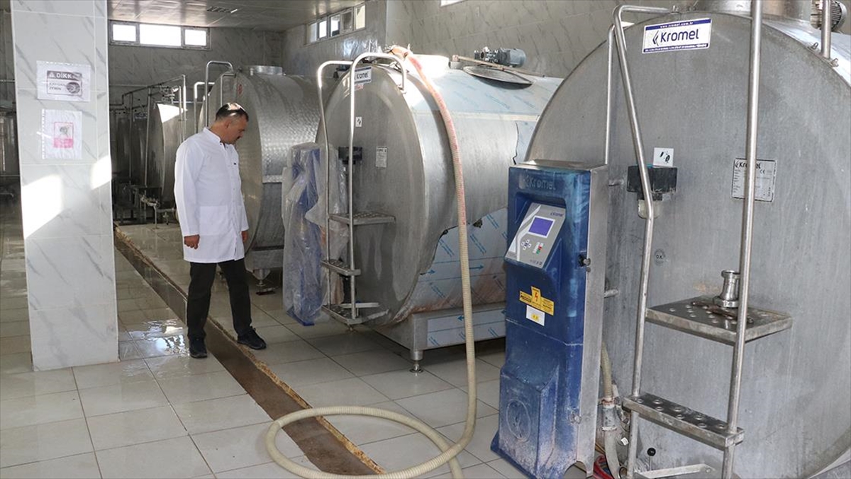 Yozgat'ın Sarıkaya ilçesinde 2008'de 124 üyeyle kurulan Sarıkaya Süt Üreticileri