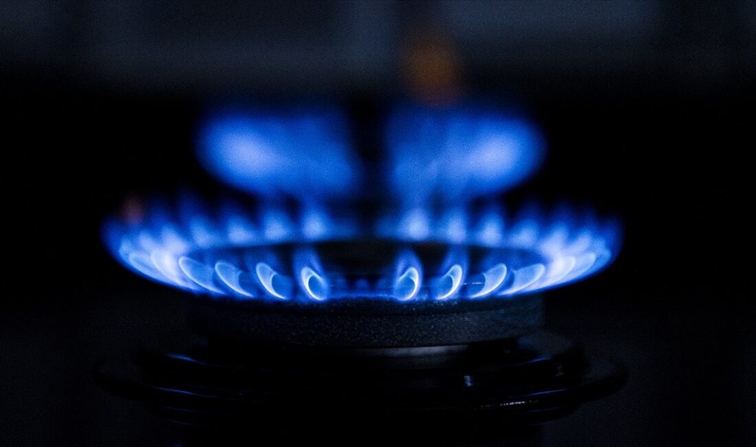 Boru Hatları ile Petrol Taşıma AŞ (BOTAŞ), şubat ayı itibarıyla