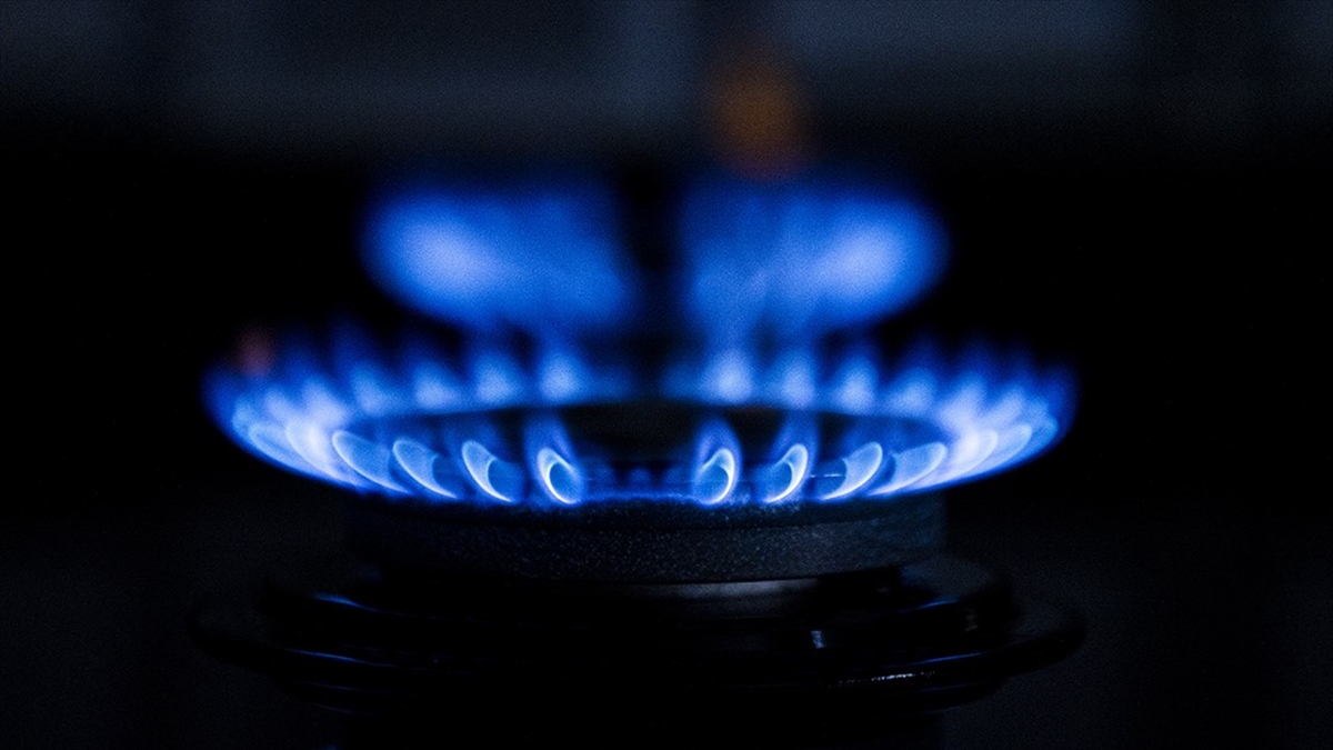 Boru Hatları ile Petrol Taşıma AŞ (BOTAŞ), şubat ayı itibarıyla
