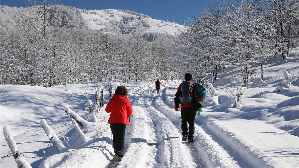 Trabzon'da bir grup doğasever, kar altında kalan Tonya ilçesine bağlı