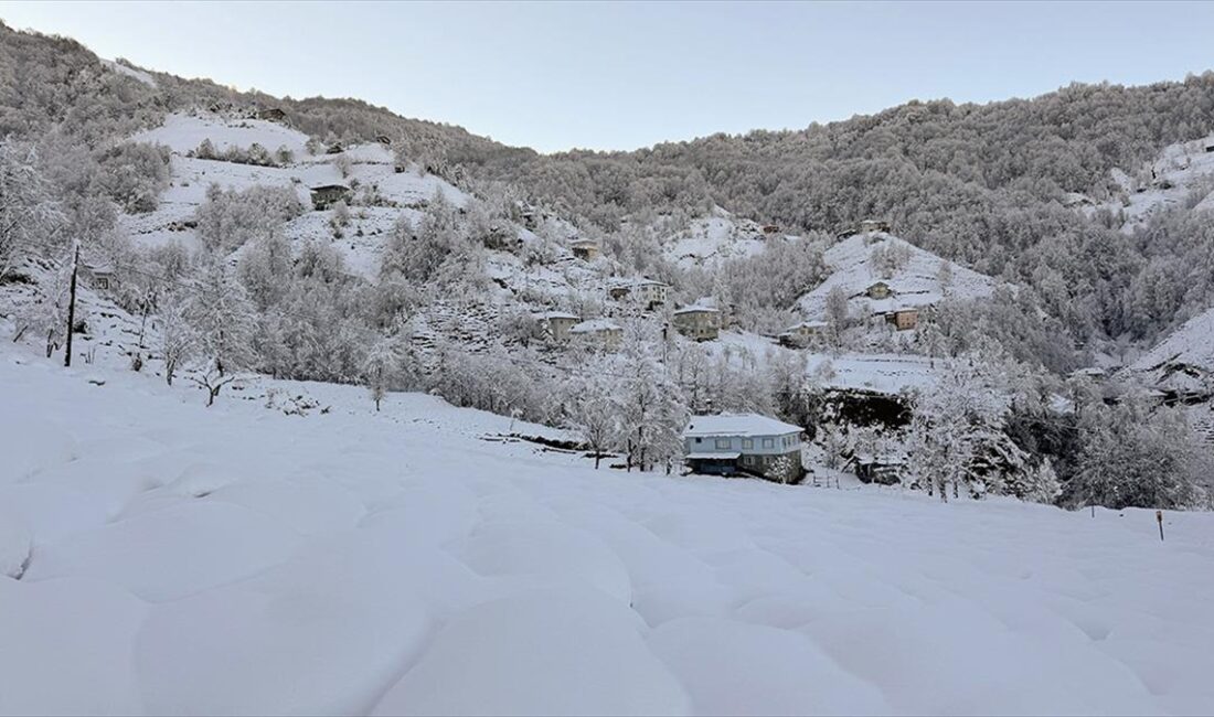 Rize, Artvin, Giresun ve Trabzon'da önceki günden itibaren etkili olan