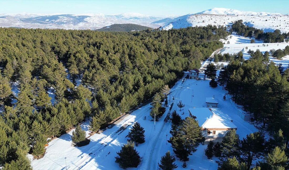 Dumanlı Tabiat Parkı doğal güzelliğiyle yaz, kış turistlerin uğrak yeri oluyor ERZINCAN (AA) – Kent merkezine 70 kilometre uzaklıkta bulunan Refahiye
