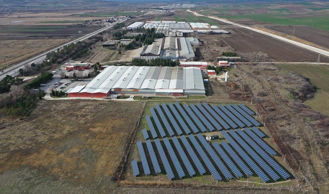 Edirne'de kurduğu güneş enerji santrali (GES) ile tükettiği elektriğin yüzde