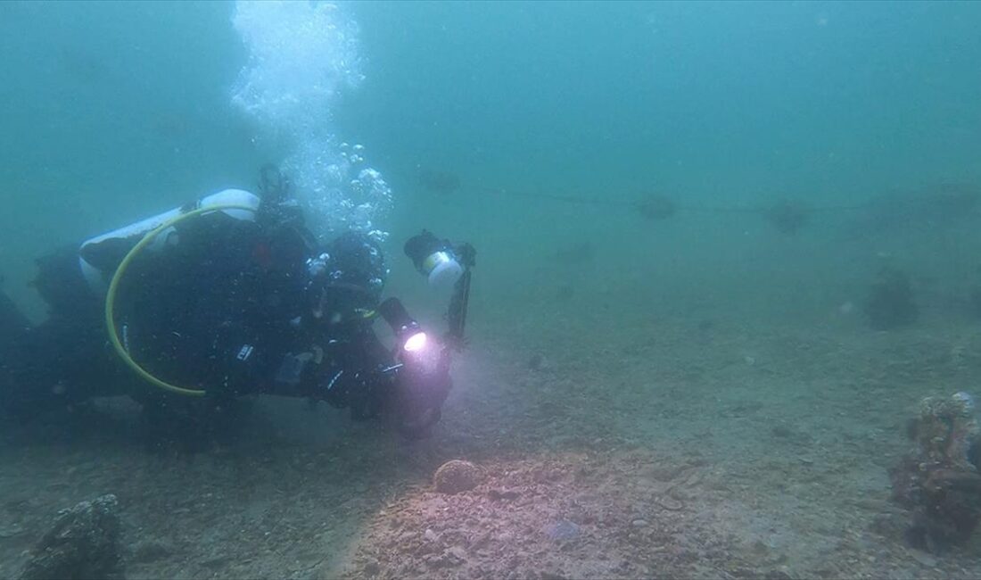 Bandırma Onyedi Eylül Üniversitesi Denizcilik Fakültesi Dekanı Prof. Dr. Sarı,