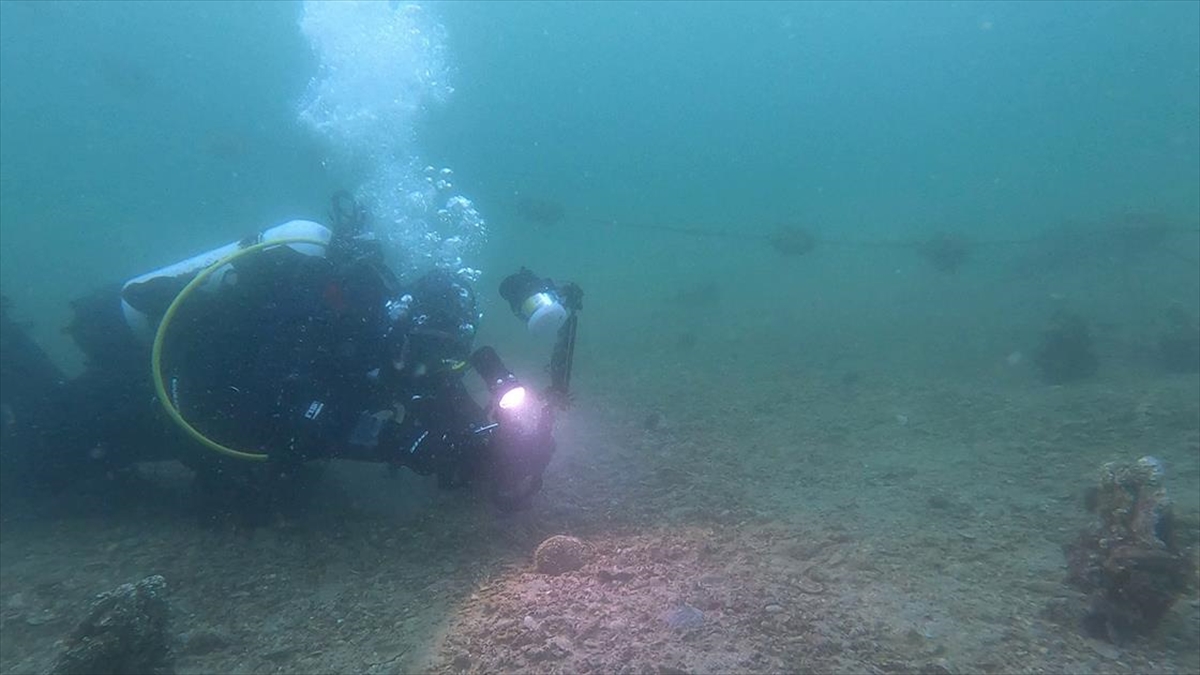 Bandırma Onyedi Eylül Üniversitesi Denizcilik Fakültesi Dekanı Prof. Dr. Sarı,